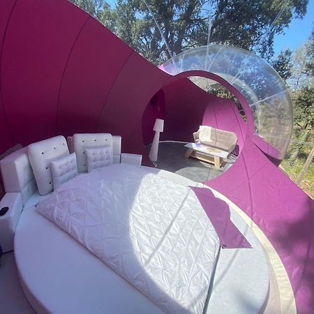 Bed and Breakfast Les Perles Catalanes Vinca Exterior foto