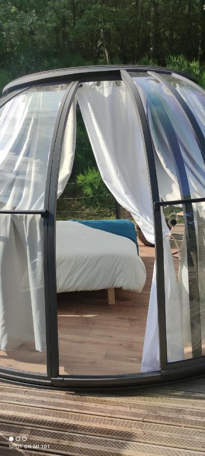 Bed and Breakfast Les Perles Catalanes Vinca Exterior foto